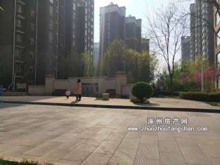 С�^(q��)�����D