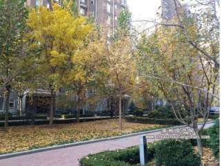 ����³ǆ���