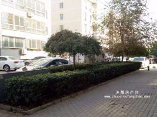 ˮ�l(xi��ng)�@