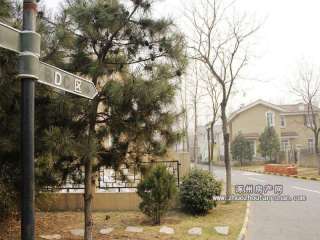 �������e��