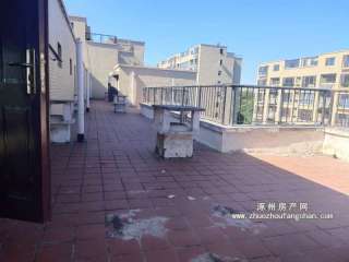 �V�����ǘ��